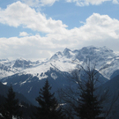 IMG_6049_JPG-1269631848
