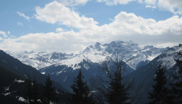IMG_6049_JPG-1269631848