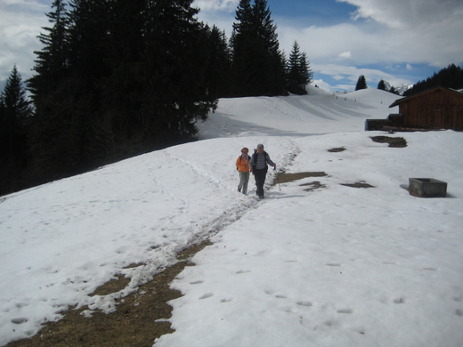 IMG_6039_JPG-1269631760