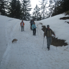 IMG_6051_JPG-1269633297