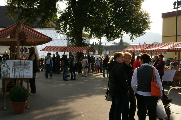 DSC10544 Gisinger M__rktle Platz_jpg-1269634233
