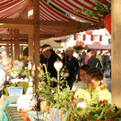 DSC10580Gisinger M__rktle Frau Gut_2__jpg-1269634275