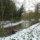 20131126_122707.jpg