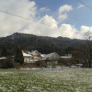 20131126_123312.jpg