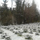 20131126_123428.jpg