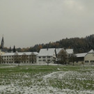 Schneebilder aus Hohenweiler