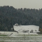 20131126_124258.jpg
