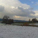 20131126_124953.jpg