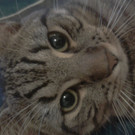 2012-10-02 08_00_44.jpg
