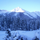 Bilder2013 004.jpg