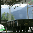 Alpensepp