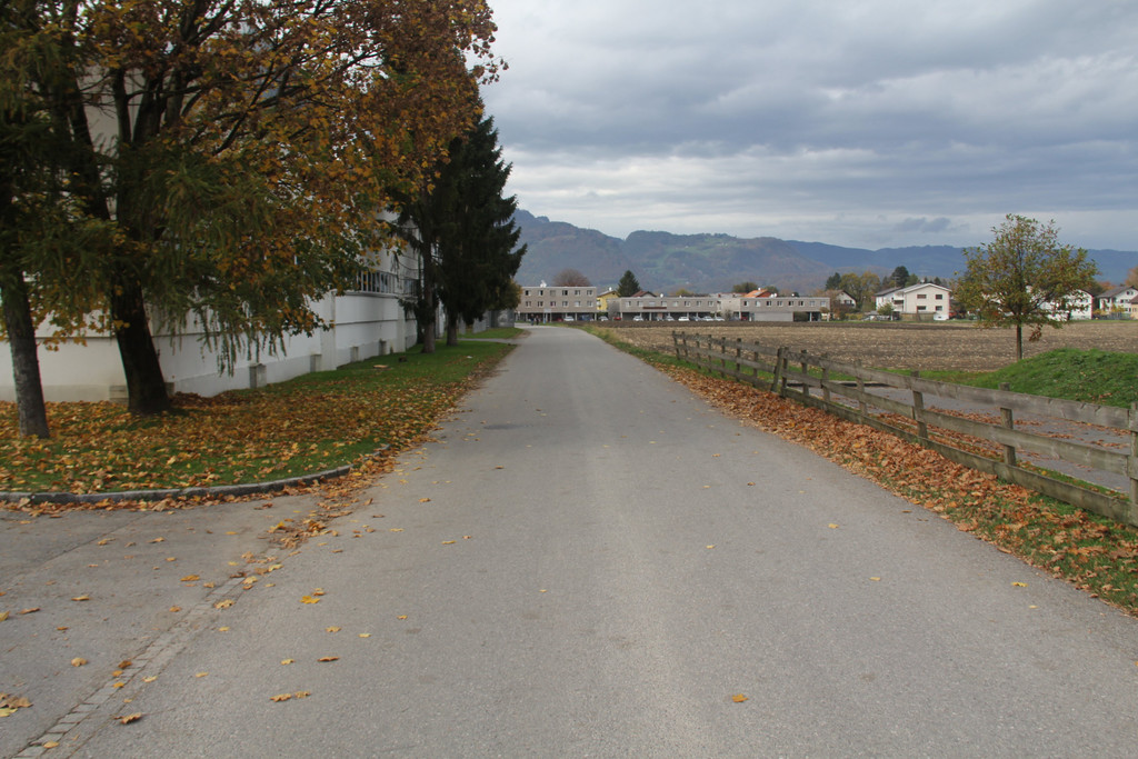 Spitzenwiesenweg_2.JPG