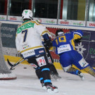IMG_8739.jpg