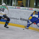 IMG_8784.jpg