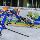 IMG_8792.jpg
