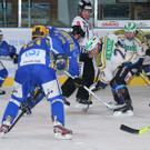 IMG_8809.jpg