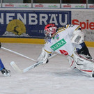 IMG_8833.jpg