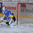 IMG_8858.jpg
