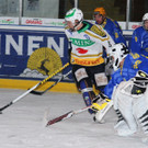 IMG_9003.jpg