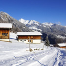 DSC06642.JPG