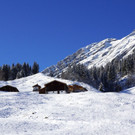 DSC06641.JPG