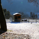 KOE_ Wildpark 201311 10.jpg