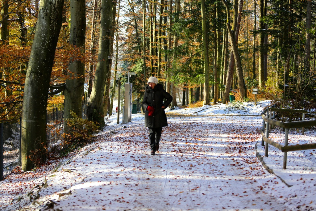 KOE_ Wildpark 201311 14.jpg