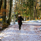 KOE_ Wildpark 201311 14.jpg