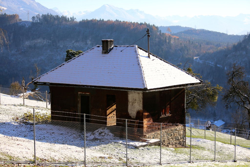 KOE_ Wildpark 201311 15.jpg
