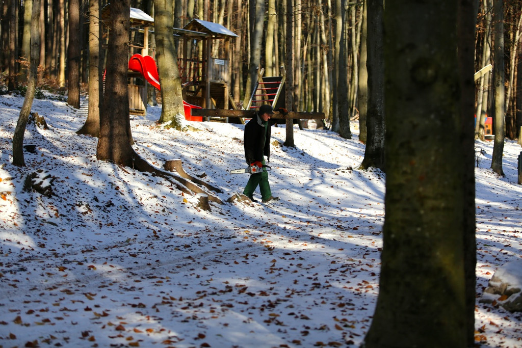 KOE_ Wildpark 201311 18.jpg