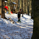 KOE_ Wildpark 201311 18.jpg