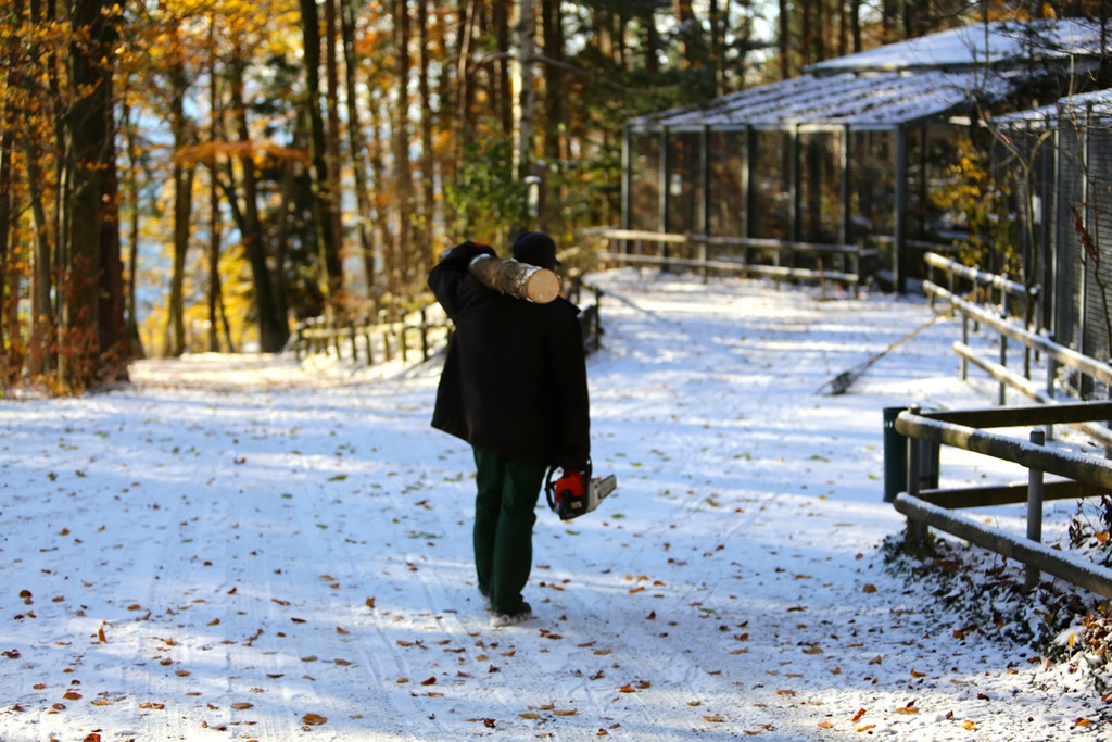 KOE_ Wildpark 201311 19.jpg