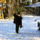 KOE_ Wildpark 201311 19.jpg