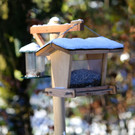 KOE_ Wildpark 201311 20.jpg