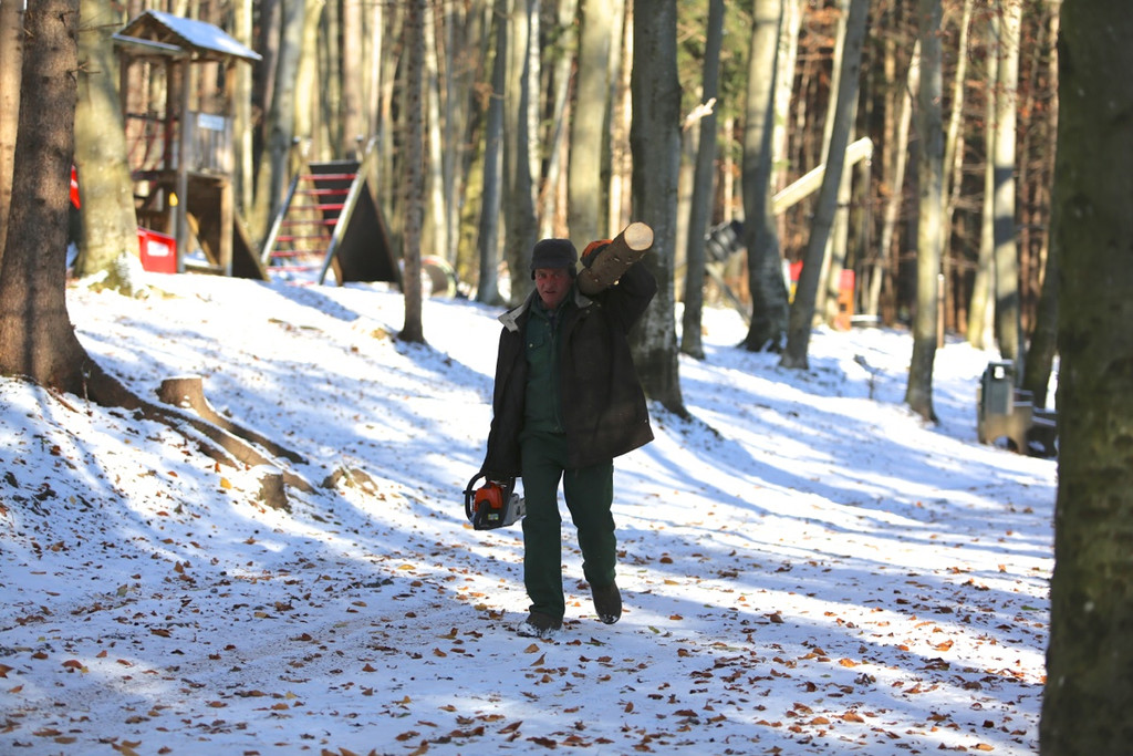 KOE_ Wildpark 201311 21.jpg