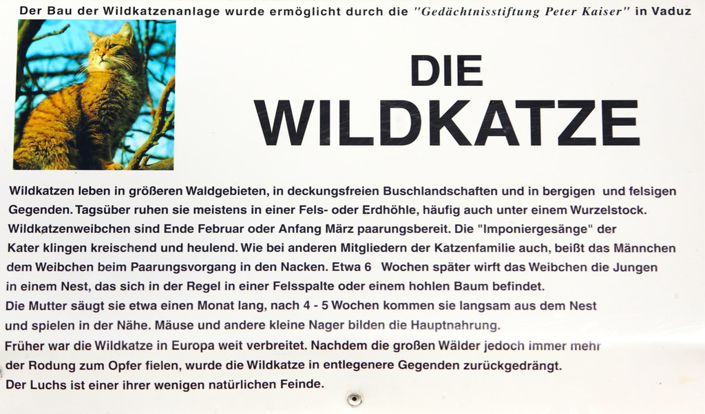 KOE_ Wildpark 201311 22.jpg