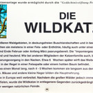 KOE_ Wildpark 201311 22.jpg