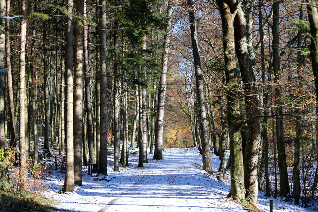 KOE_ Wildpark 201311 27.jpg