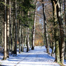 KOE_ Wildpark 201311 27.jpg