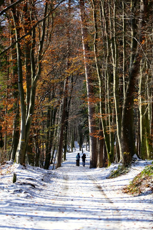 KOE_ Wildpark 201311 28.jpg