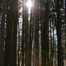 KOE_ Wildpark 201311 29.jpg