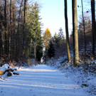 KOE_ Wildpark 201311 30.jpg