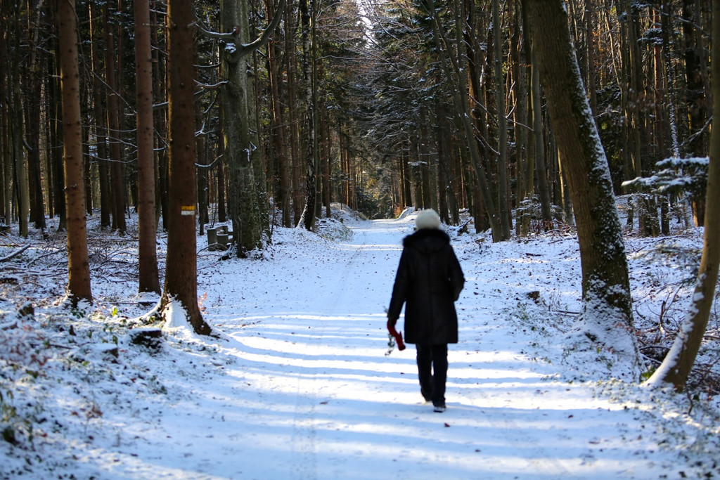 KOE_ Wildpark 201311 31.jpg