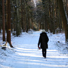 KOE_ Wildpark 201311 31.jpg