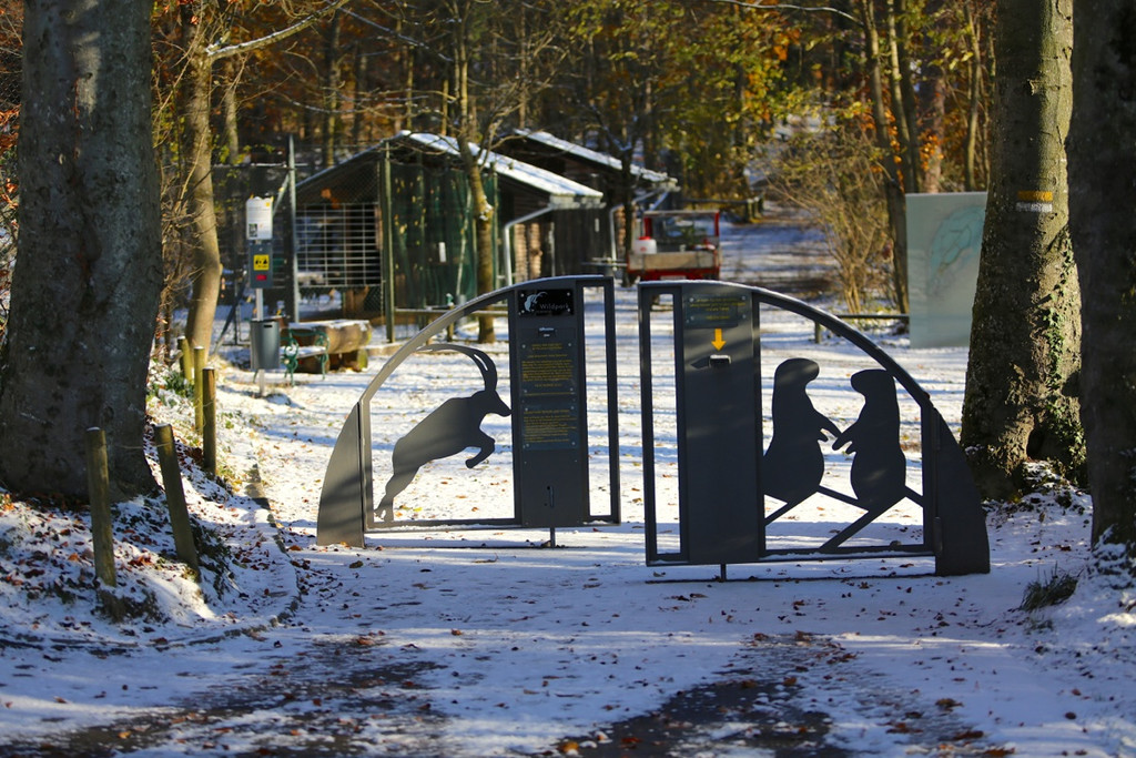 KOE_ Wildpark 201311 38.jpg