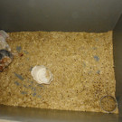 ABD0050-20131128.jpg