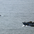 Südkoreanisches Kriegsschiff mit 104 Mann gesunken