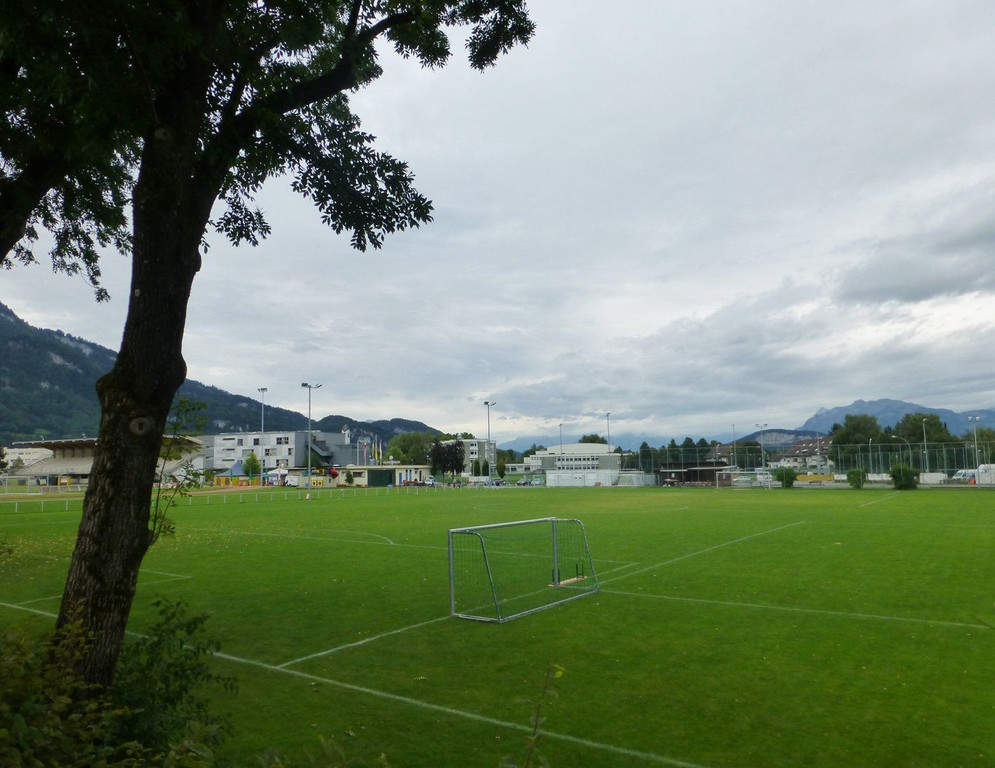 Rasen1a.jpg