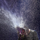 DAB0567-20110327.jpg