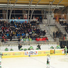 DSC02684.JPG